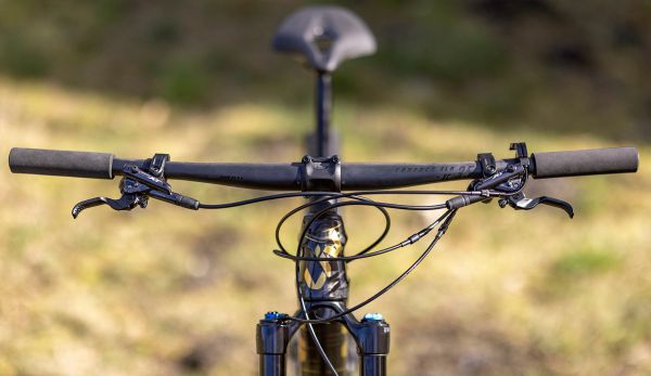 Liv Pique Advanced 29 1