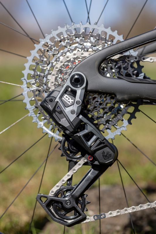 Liv Pique Advanced 29 1