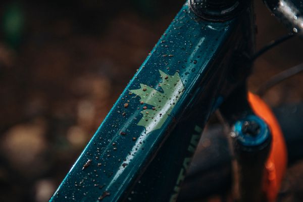 Rocky Mountain Altitude 2024