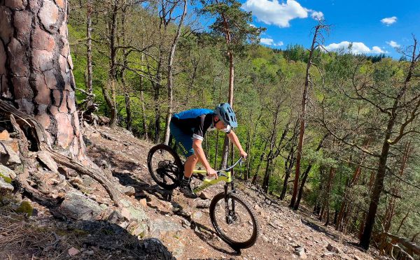 Canyon Spectral CF 9