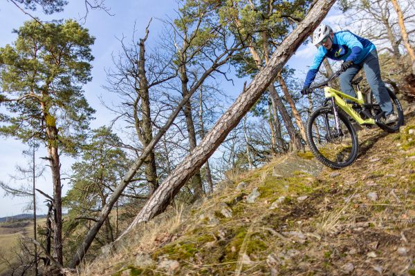 Canyon Spectral CF 9