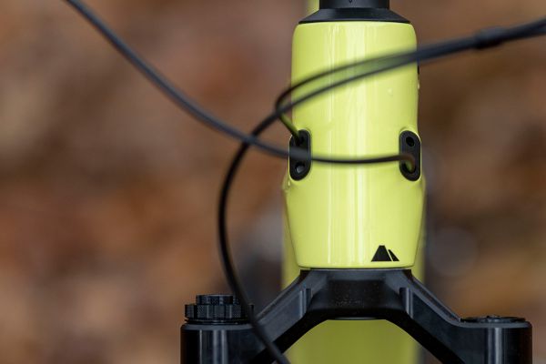 Canyon Spectral CF 9