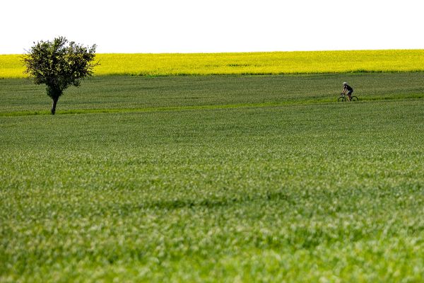 Javax Freed Reynolds