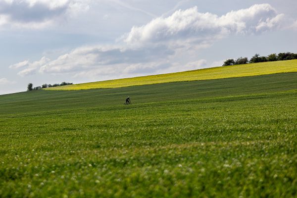 Javax Freed Reynolds