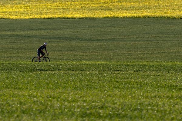 Javax Freed Reynolds