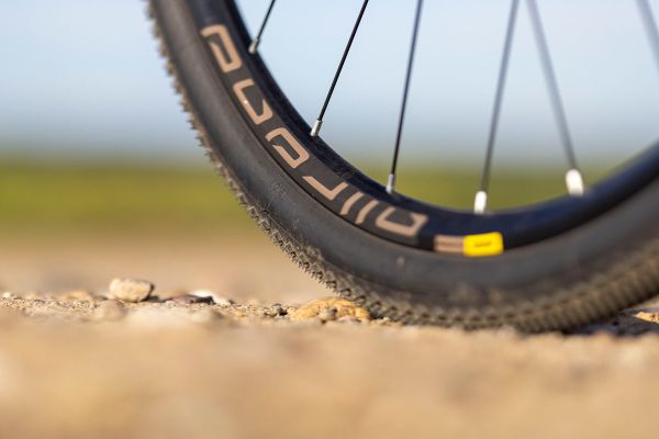 Qayron One.Dr Alu/Cromo