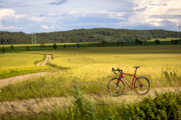 Qayron One.Dr Alu/Cromo