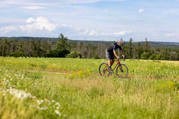 Qayron One.Dr Alu/Cromo