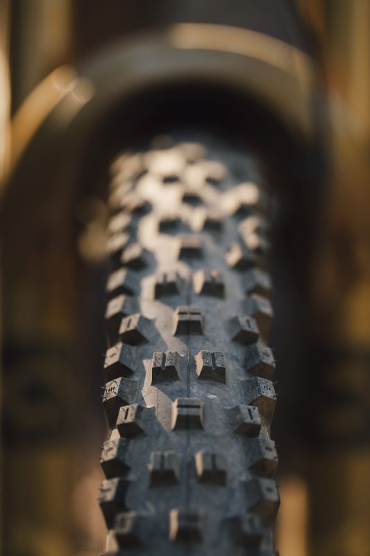 Novinky WTB pláště MY25