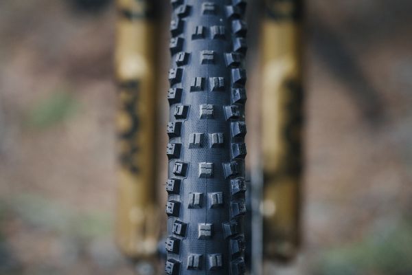 Novinky WTB pláště MY25