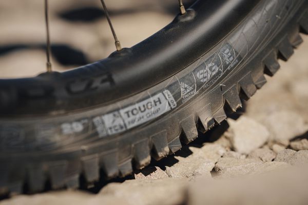 Novinky WTB pláště MY25