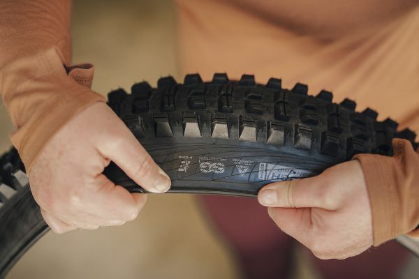 Novinky WTB pláště MY25