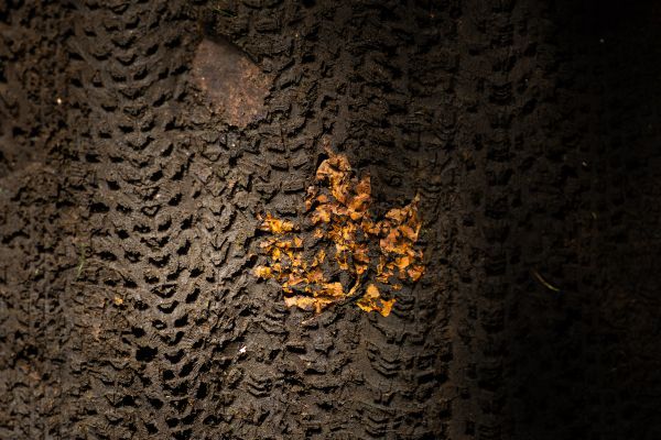 Světový pohár XCO #8 2024 - Mont Sainte Anne