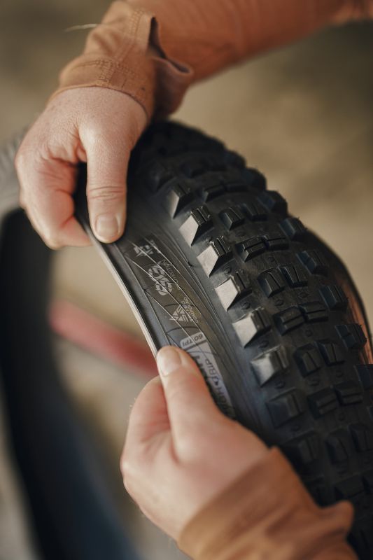 Novinky WTB pláště MY25