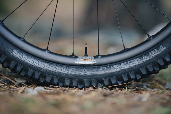 Novinky WTB pláště MY25