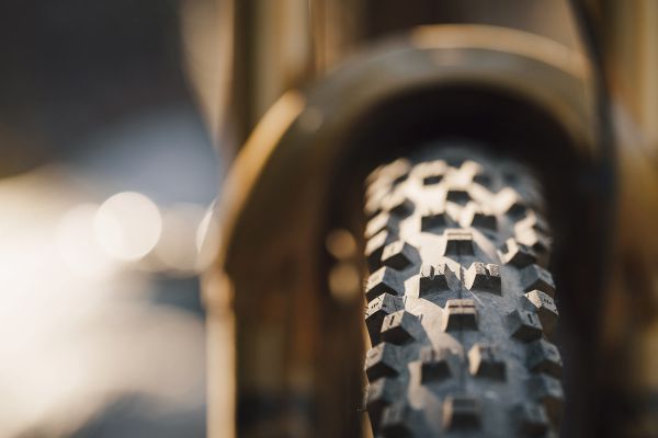 Novinky WTB pláště MY25