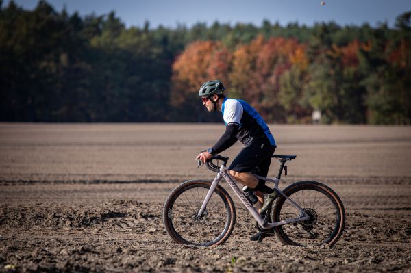 Santa Cruz Stigmata 2024