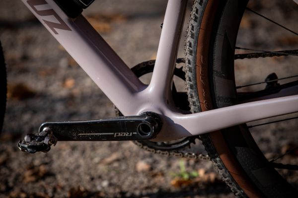 Santa Cruz Stigmata 2024