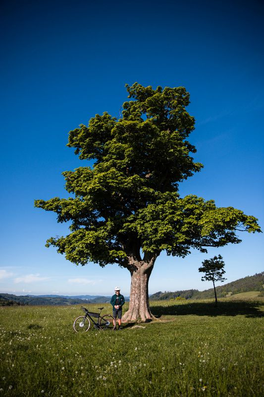 Rock Machine Lukk Cr