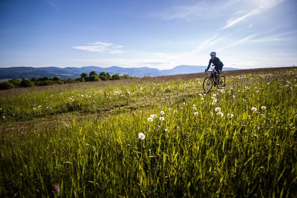 Rock Machine Lukk Cr