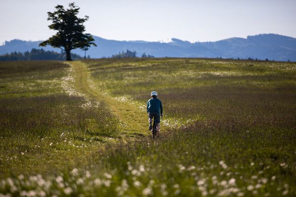 Rock Machine Lukk Cr