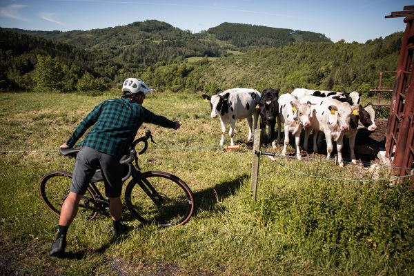 Rock Machine Lukk Cr