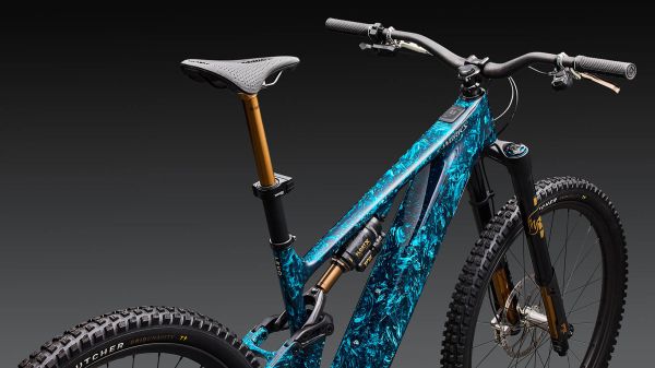 S-Works Turbo Levo 4 LTD