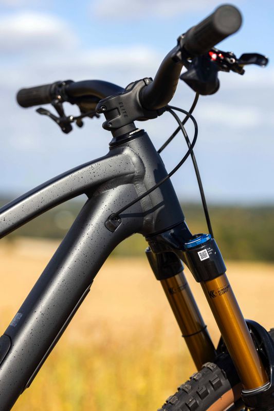 Trek Fuel MX Eagle XO AXS