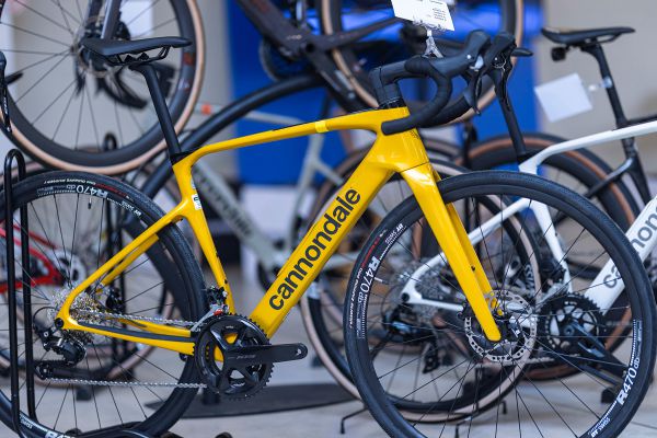 Cannondale 2026