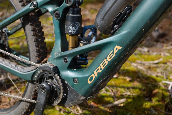 Orbea Wild M-LTD