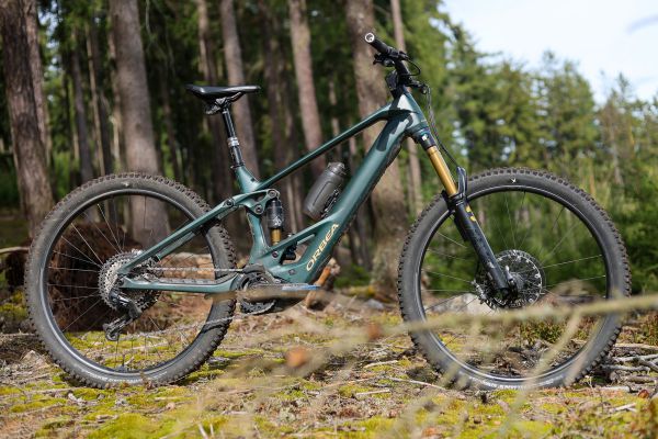 Orbea Wild M-LTD